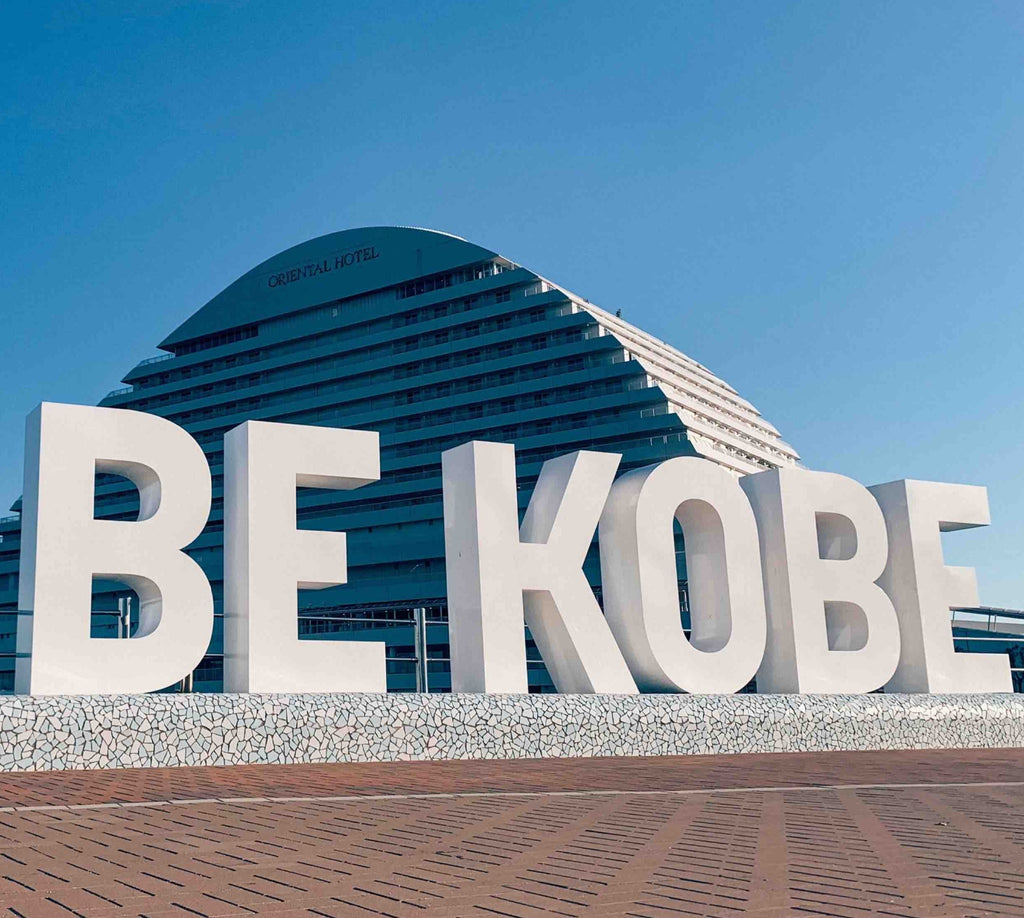 Rib Eye Kobe Wagyu A5 BMS 12, Hyogo, Japan